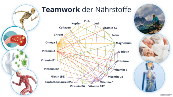 HAPPY LIFE Gesundheitscoaching e.U.